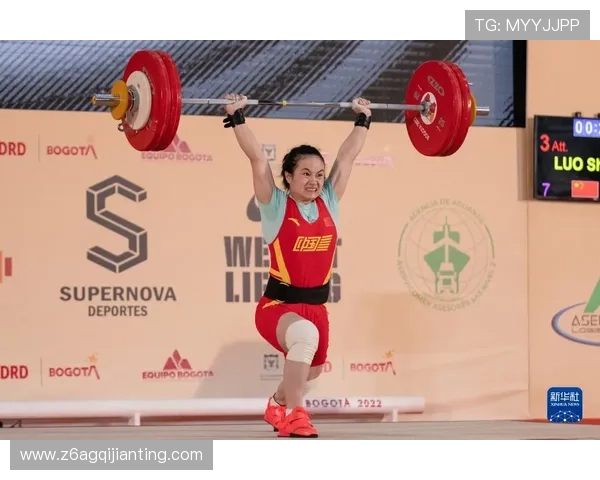 最新动态：尊龙凯时平台介绍与行业趋势